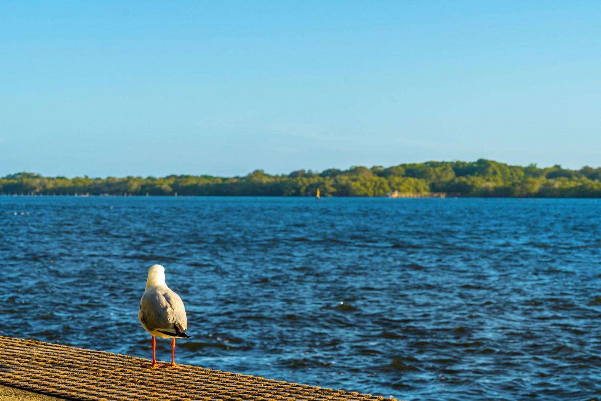Riverside Holiday Apartments Ballina Εξωτερικό φωτογραφία